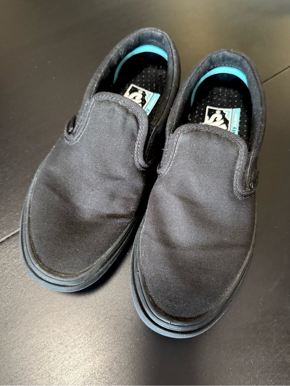 BNWT Vans black on black slip ons